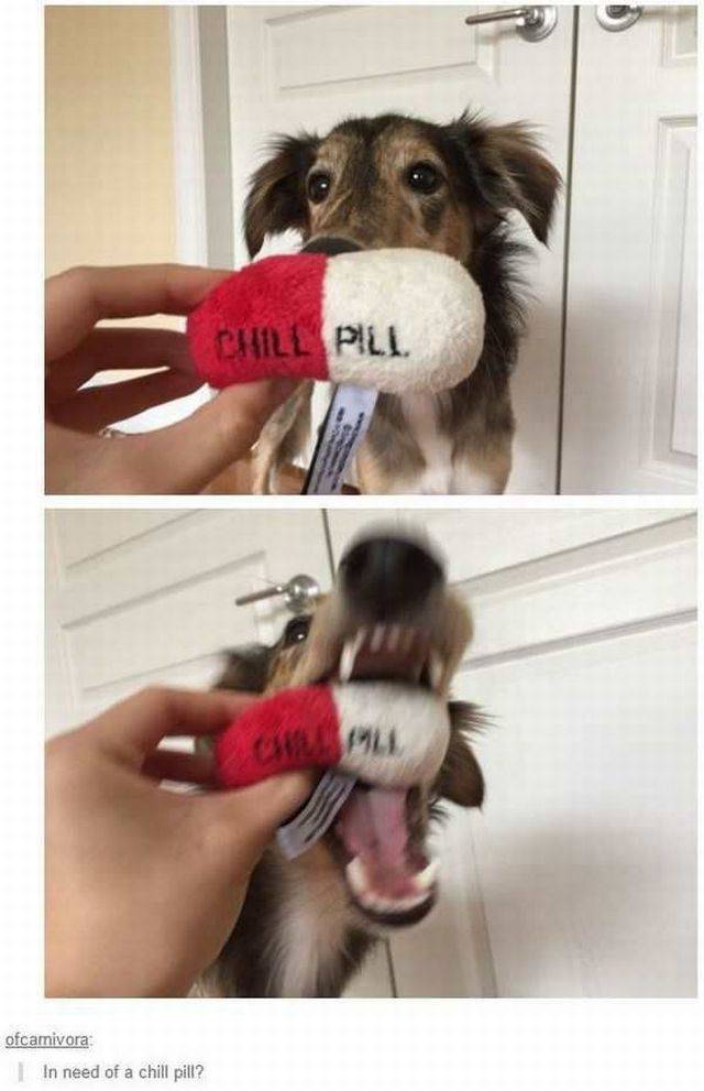 Content Image