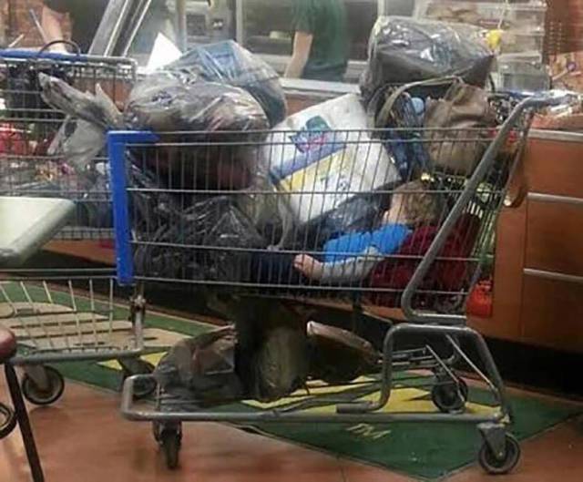 Content Image
