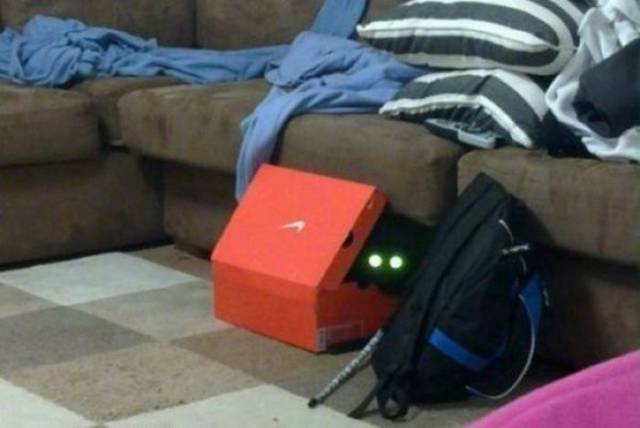 Content Image