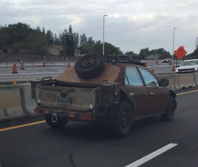 Morning Picdump