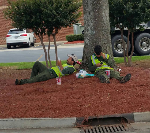 Morning Picdump