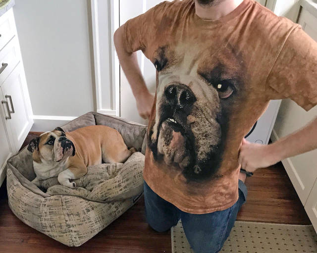 Content Image