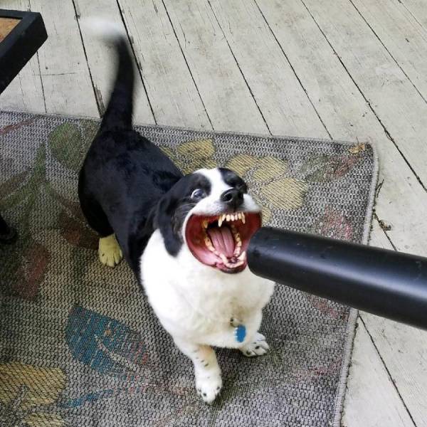 Content Image