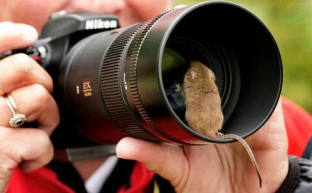 Daily Picdump