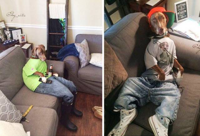 Daily Picdump