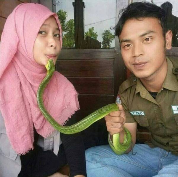 Content Image