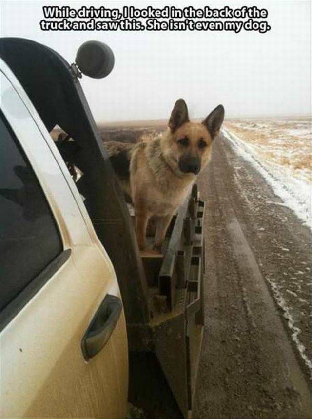 Daily Picdump