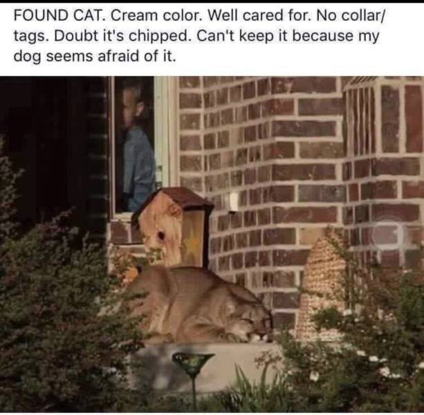 Funny Picdump