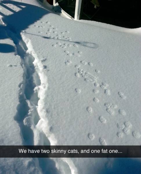 Funny Picdump