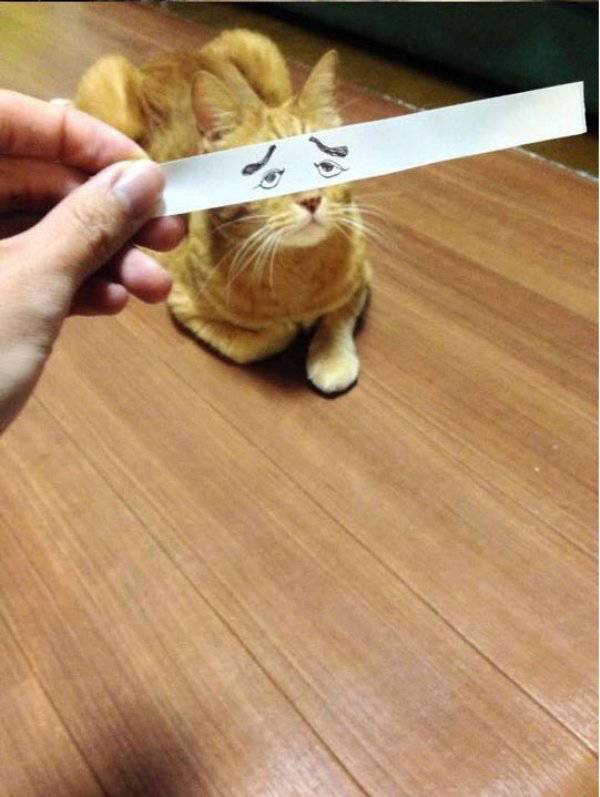 Funny Picdump