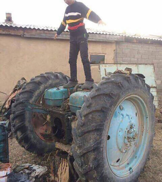 Morning Picdump