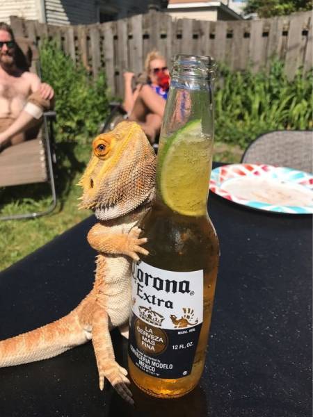 Daily Picdump