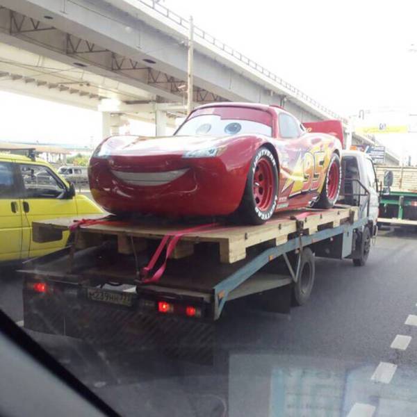 Daily Picdump