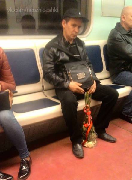Daily Picdump