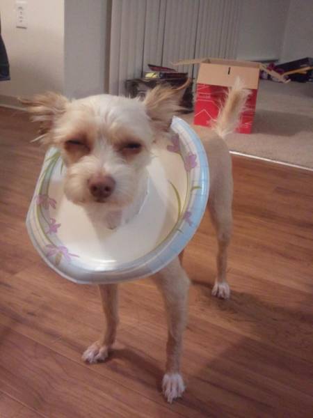 Daily Picdump