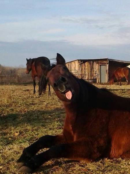 Daily Picdump