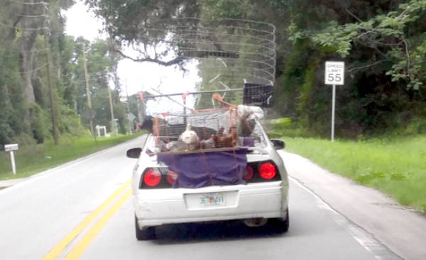 Daily Picdump