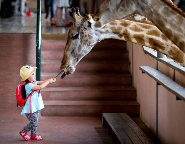Daily Picdump