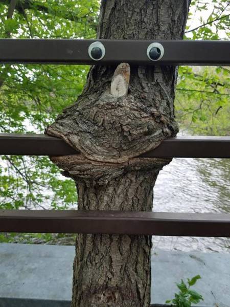 Daily Picdump