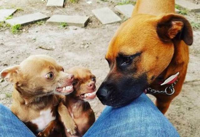 Daily Picdump