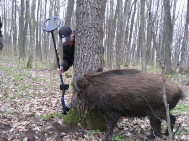 Daily Picdump