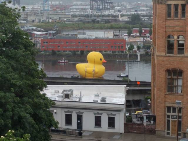 Content Image