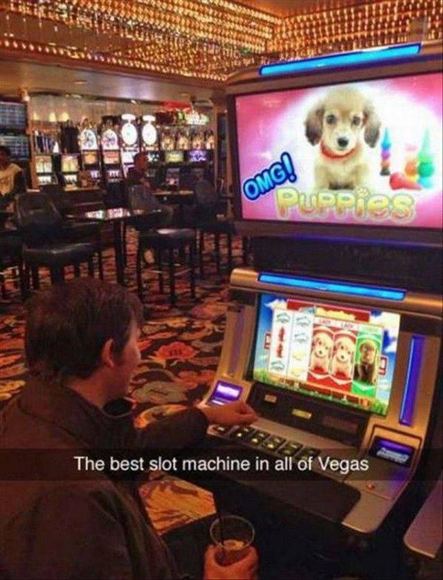 Content Image