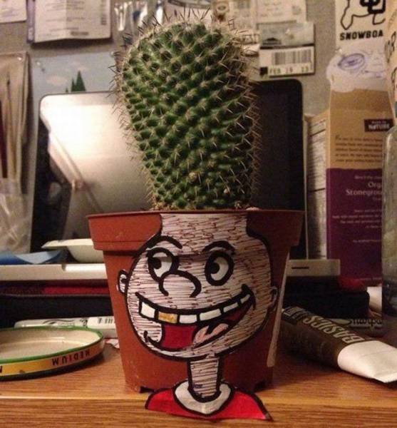 Content Image