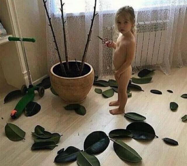 Content Image