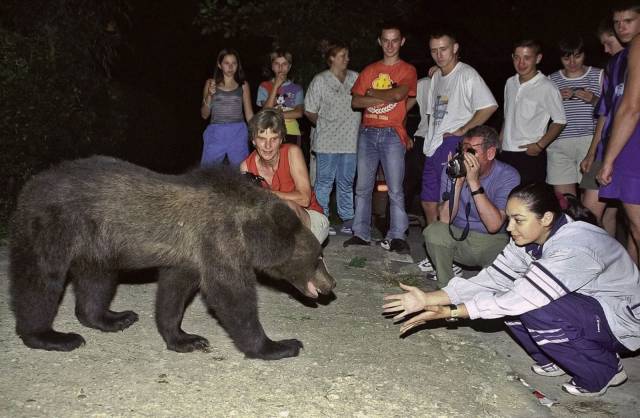 Content Image