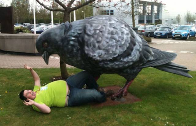 Daily Picdump