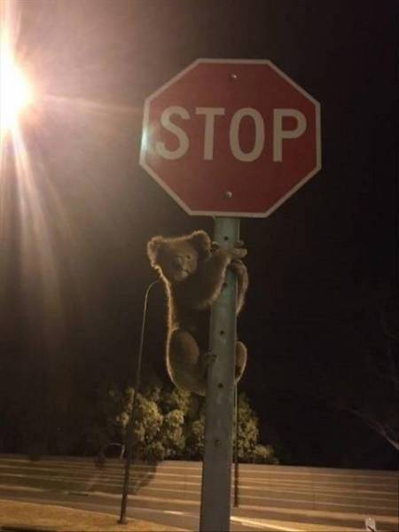 Daily Picdump