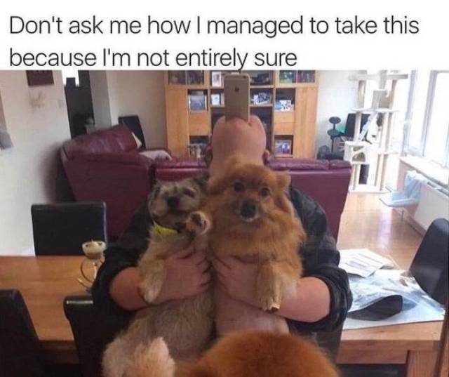 Daily Picdump