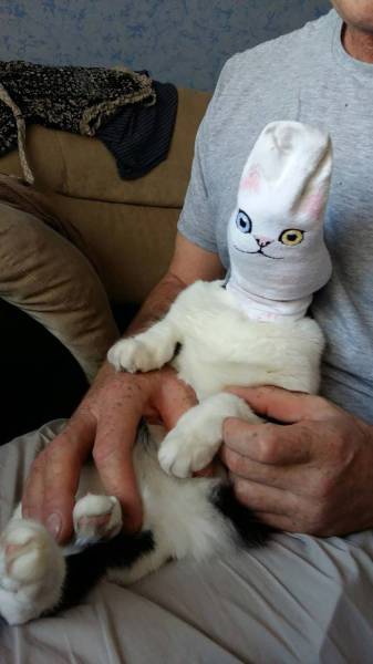 Funny Picdump