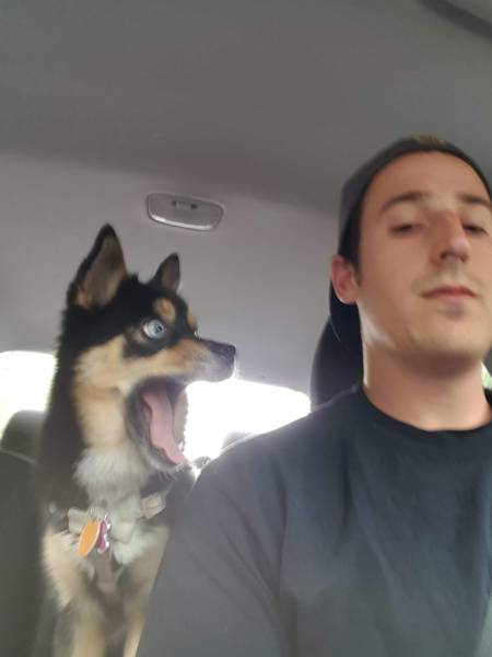 Morning Picdump