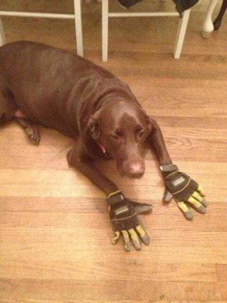 Morning Picdump