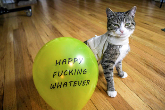 Content Image
