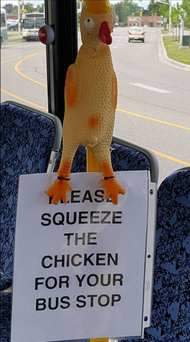 Content Image