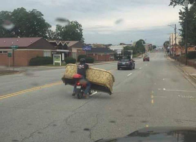 Daily Picdump