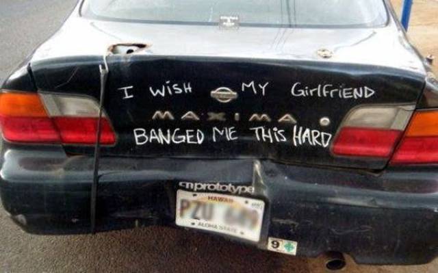 Daily Picdump