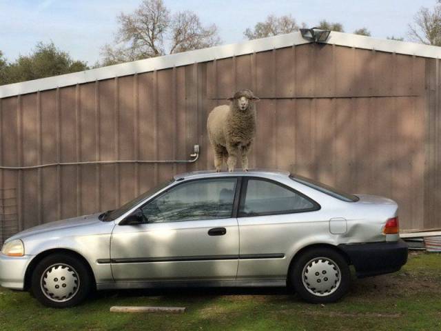 Daily Picdump