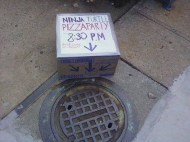 Daily Picdump