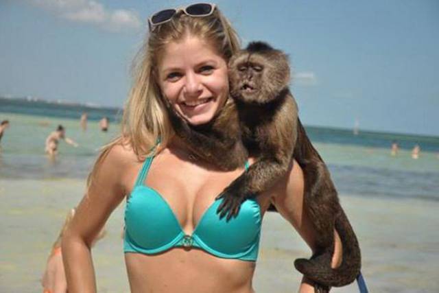 Daily Picdump