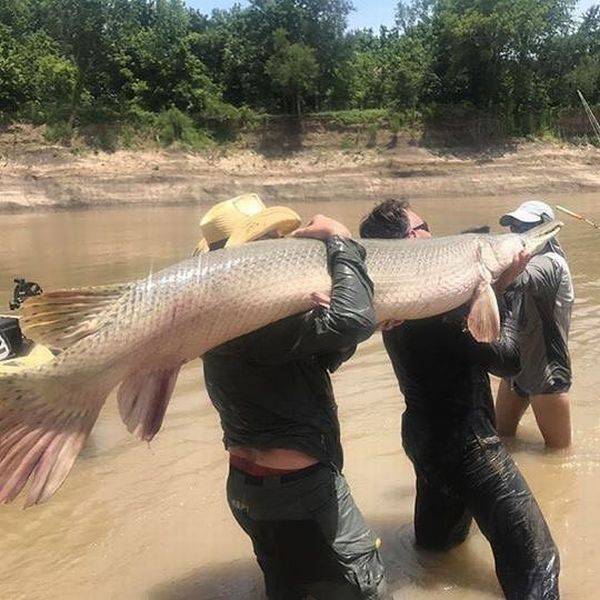 Daily Picdump