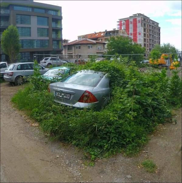 Content Image