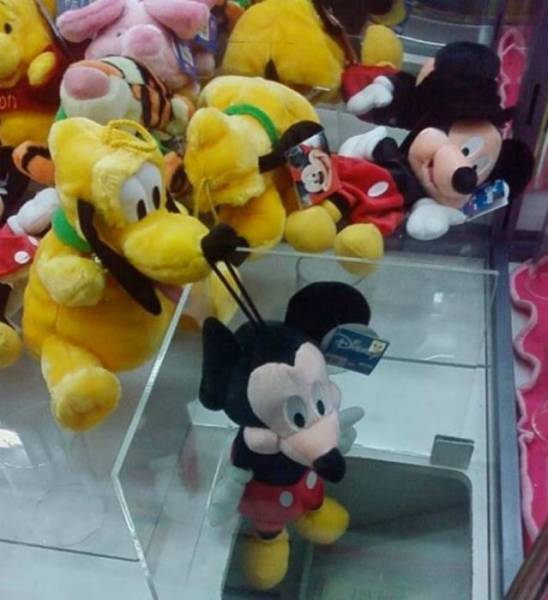 Content Image