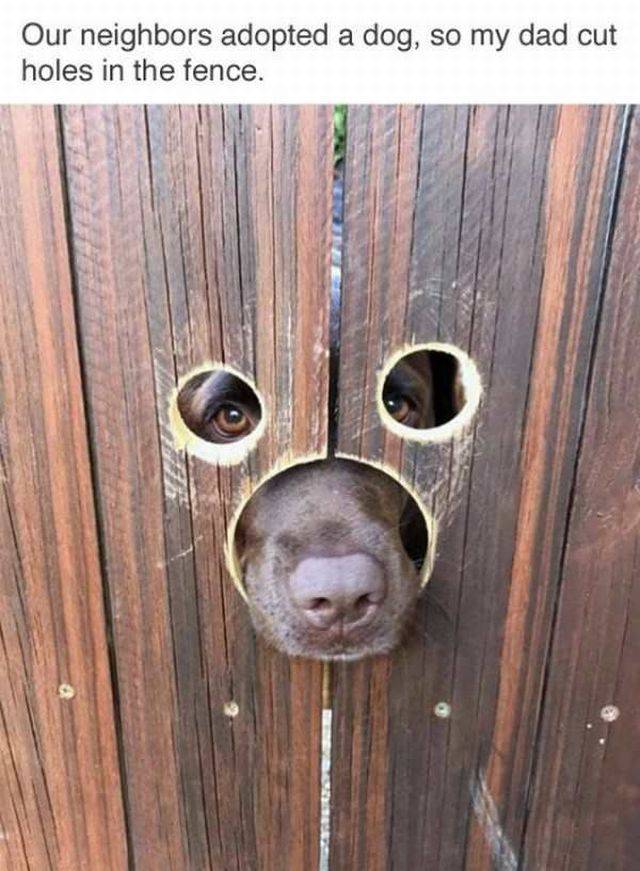 Daily Picdump