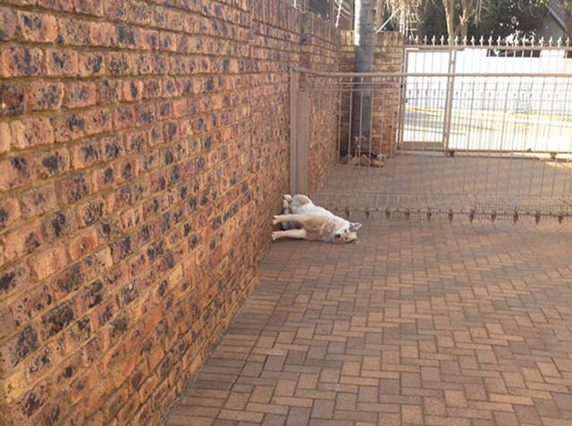 Morning Picdump