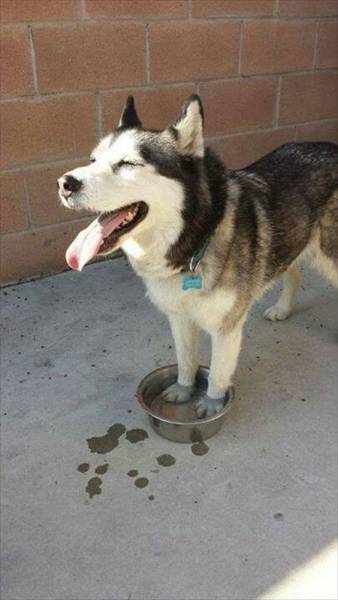Morning Picdump
