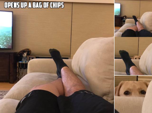 Content Image